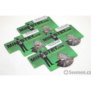 Pěstitelství Auto Northern Lights fem. (balení 10)