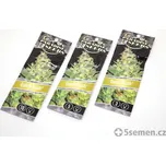 Dutch Kush® fem. (balení 10)