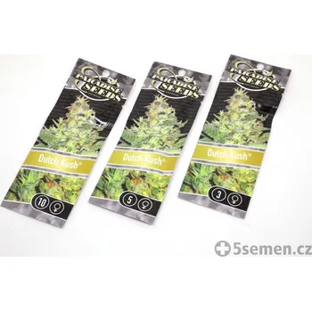 Semeno Dutch Kush® fem. (balení 10)