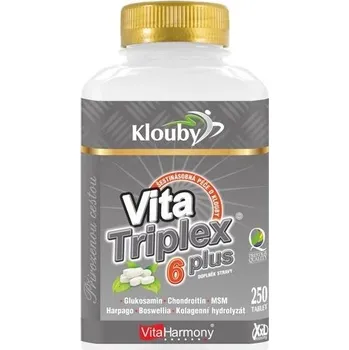 Přírodní produkt VitaHarmony XXL VitaTriplex® 6 PLUS 250 tablet