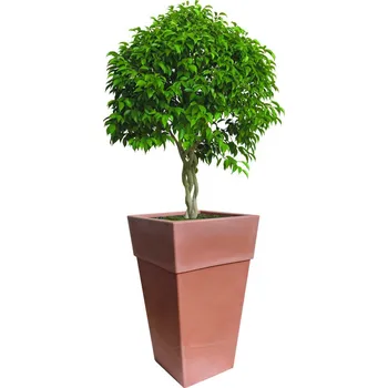 Květináč BAMA Květináč SENSATIONE 50 cm, terracotta