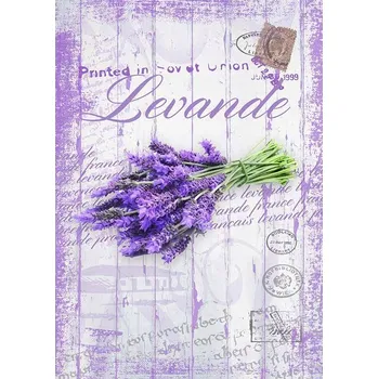 Obraz Cedule Levandule - Levande
