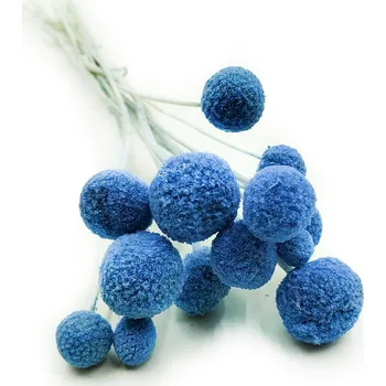 mech-mech.cz Sušená Kraspédia - (Craspedia Extra) - Modrá 15 ks