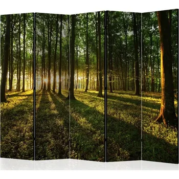 Paraván Paraván - Ráno v lese II Velikost: 225x172 cm, Provedení: Jednostranný