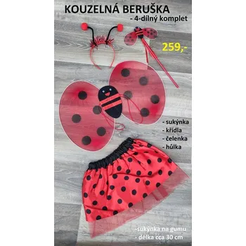RC model auta KOUZELNÁ BERUŠKA