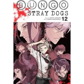 Bungo Stray Dogs 12 - Kafka Asagiri, Sango Harukawa (ilustrátor) Yen Press