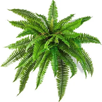 umělá květina Umělé kapradí převislé 80cm - Do interiéru