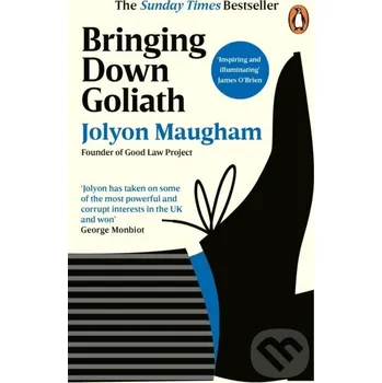 Bringing Down Goliath - Jolyon Maugham WH Allen
