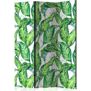 Paraván Paraván - Dlouhé listy Velikost: 135x172 cm, Provedení: Jednostranný
