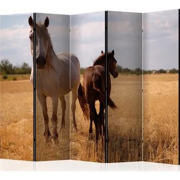 Paraván Paraván - Kůň a hříbě II Velikost: 225x172 cm, Provedení: Jednostranný