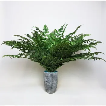 umělá květina Umělé kapradí Nephrolepis boston 75cm - Do interiéru