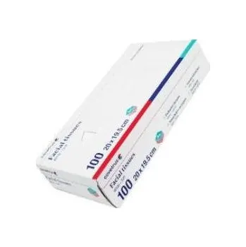 Papírový kapesník Kapesníky papírové CVET 20x19,5cm box 100ks