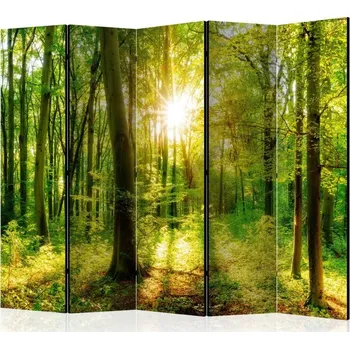 Paraván Paraván - Lesní paprsky II Velikost: 225x172 cm, Provedení: Jednostranný