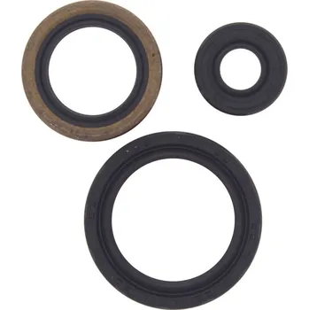 Těsnění motoru Sada gufer motoru WINDEROSA EOSK 822143 POLARIS Sportsman 450 2006-2007