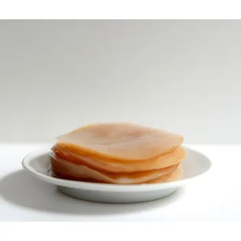 kombuchy PLANTO Kombucha - čajová houba