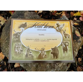 Papír Pasovací List Král Honu, výběr ze 3 motivů B