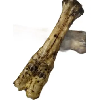 Krmivo pro psa HOVĚZÍ KOST HOLENNÍ 1ks + extra výběr z 4000 produktů