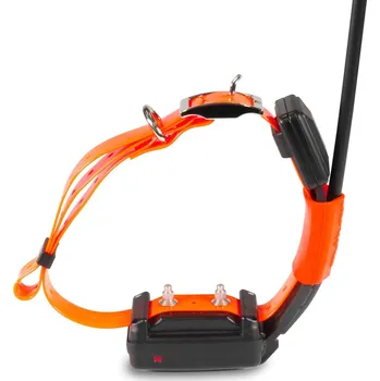 Pro psa VNT electronics s.r.o. Kratší obojek pro dalšího psa - DOG GPS X25T Short - Zelená