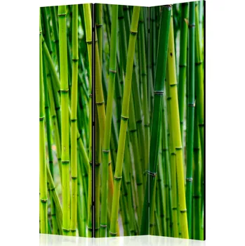 Paraván Paraván - Bambusový les Velikost: 135x172 cm, Provedení: Jednostranný