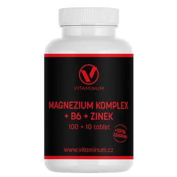 Vitaminum Magnésium + B6 + zinek - 110 tablet