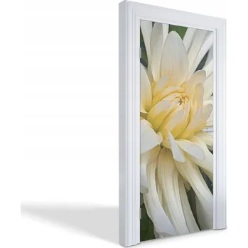 Fototapeta Samolepicí samolepící na dveře a nábytek Krémový květ 95 x 205 cm