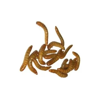 Krmivo pro terarijní zvíře Potemník moučný 250ml