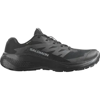 Pánská fitness obuv Pánské boty SALOMON ALPHAGLIDE GTX L47802100 BLACK/ASPHALT/BLACK EU 40 2/3 (UK 7)