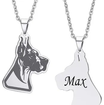 Přívěsek Přívěsek s řetízkem z chirurgické oceli Doga