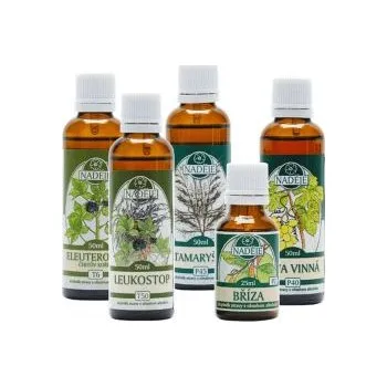 Zdraví Naděje NK12 Kúra pro udržení normálního krevního obrazu 225 ml