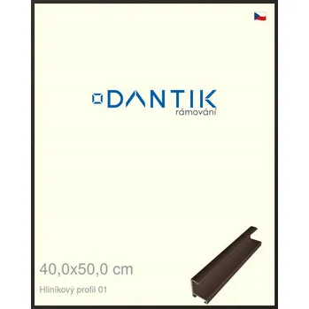 Obraz DANTIK Rámeček na jednu fotku 50 x 40 cm