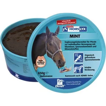 Krmivo pro hospodářské zvíře Liz pro koně Horslyx Mint - 650 g