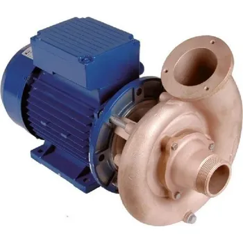 Bazénové čerpadlo Hugo Lahme čerpadlo FitStar 2,2 kW 220 V (připojení 2 ")