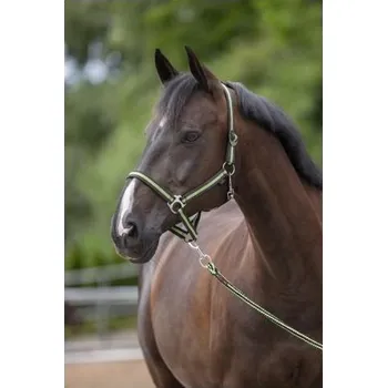 Jezdectví Nylonová ohlávka Hippo, černo-zelená - 2 - cob