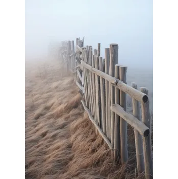 Plakát Plakát Mlha nad Dunami bez rámu 39,5 x 55 cm