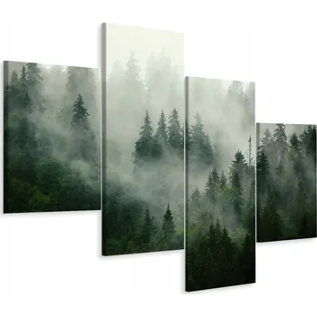 Obraz Vícedílný obraz LES V MLZE Příroda 3D 80x50