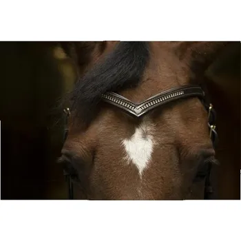 Čištění pro koně Čelenka Norton Diamond, černá, Full