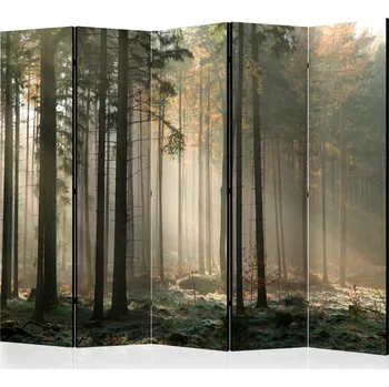 Paraván Paraván - Mlhavé listopadové ráno II Velikost: 225x172 cm, Provedení: Jednostranný