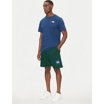 Pánské kraťasy The North Face Sportovní kraťasy Nse Box NF0A8C1J Zelená Regular Fit M