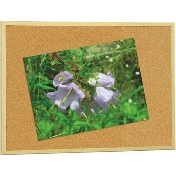 Korková deska Faibo 60 x 90 cm