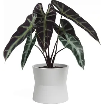 Květináč Keramický květináč ø 20 cm Diana – Artevasi ID_1646708