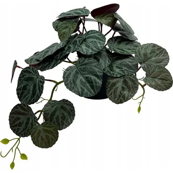 umělá květina Diefenbachie Umělé květy JAKO ŽIVÁ 55 cm