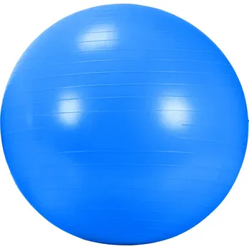 Gymnastický míč DMA Rehabilitační míč Gym Ball 65cm