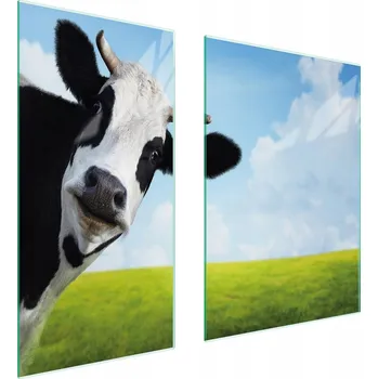 Kuchyňské prkénko Krájecí deska TMK ArtDeko sklo 2 ks