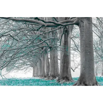 Obraz Plakát Stromy v řadě - tyrkysové listy bez rámu 30 x 20 cm