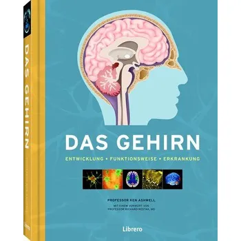 Das Gehirn - Ashwell, Ken