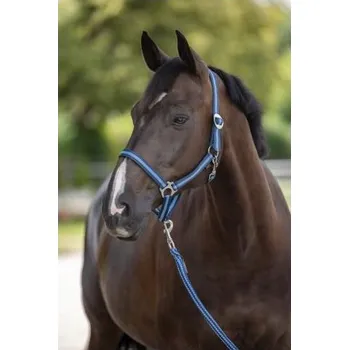 Nylonová ohlávka Hippo, tmavě-světle modrá - 3 - full