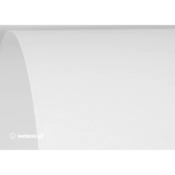 Kancelářský papír Vizitkový papír A4 Aster 250 g/m2, 100 listů