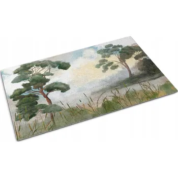 Rohožka Hotová textilní rohožka do interiéru 60 x 40 cm