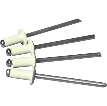 Nýt Trhací nýty 4x8