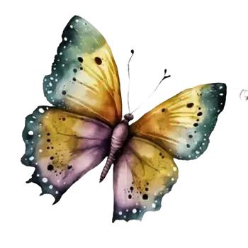 Nažehlovací obrázek - křídla barevné fantazie II